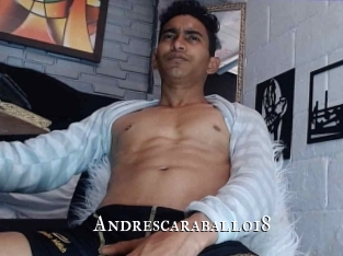 Andrescaraballo18