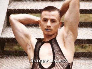 Andrew_falcon