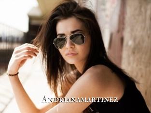 Andrianamartinez
