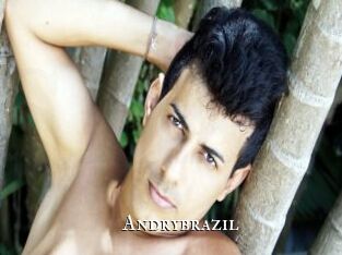 Andrybrazil