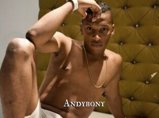 Andybony