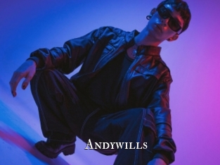 andywills cams