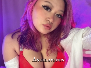angelavenus cams