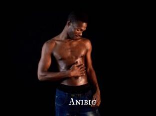 Anibig