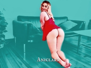 aniclark cams