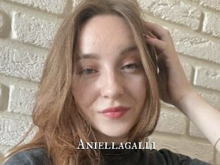 Aniellagalli