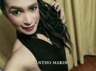 Antho_marin
