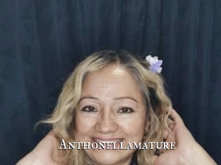 Anthonellamature