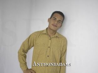 anthonyadams cams