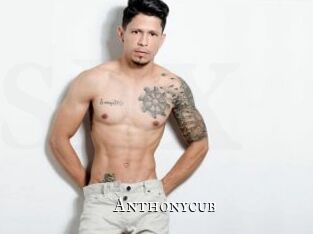 Anthonycub