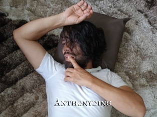 anthonyding cams
