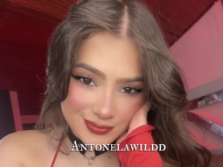 antonelawildd cams
