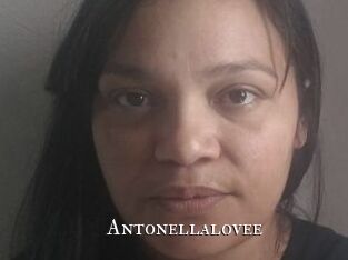 Antonellalovee