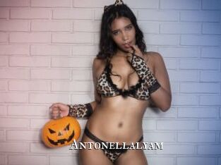 Antonellalyam