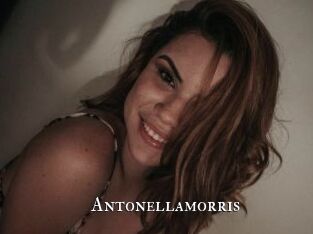 Antonellamorris