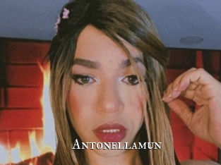 Antonellamun