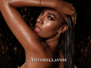 antonellavoss cams
