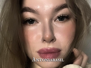 Antoniabasil