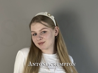 antoniacrumpton cams