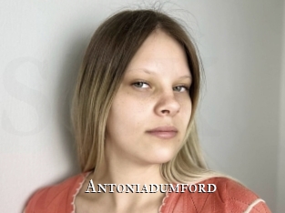 Antoniadumford