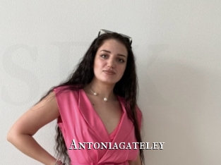Antoniagateley