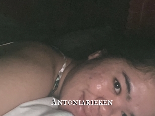 antoniarieken cams