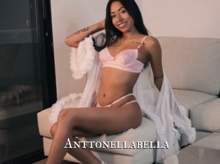 Anttonellabella