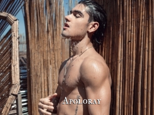 apoloray cams