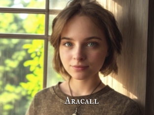 aracall cams