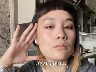 aracarvell cams