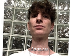 arielabs cams