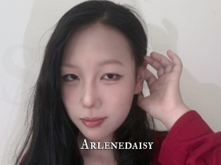 Arlenedaisy