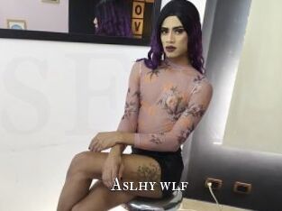 aslhy_wlf cams