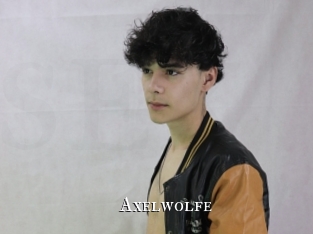 axelwolfe cams