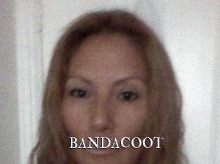 BANDACOOT