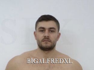 BIGALFREDXL