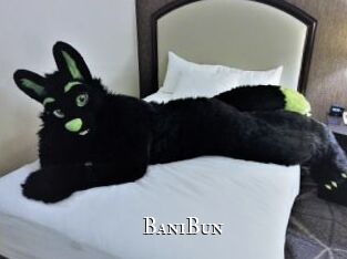 BaniBun