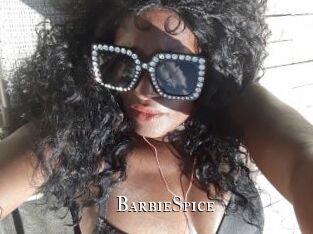 BarbieSpice cams