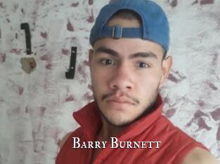 Barry_Burnett cams