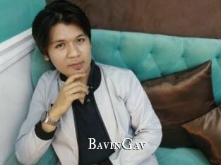 BavinGav