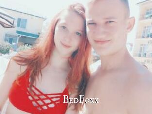 BedFoxx