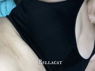 Bellacat