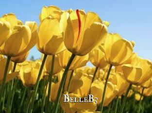 BelleB3