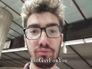 BigGayForYou
