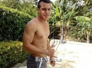 Big_Muscle