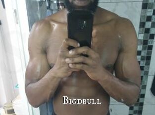 Bigdbull