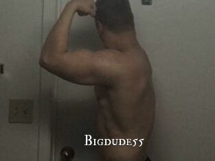 Bigdude55