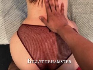 Billythehamster