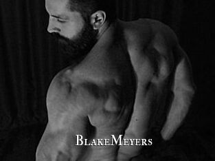BlakeMeyers