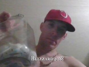 Blizzard2018